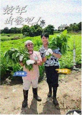 血狱鬼灯城夜景推荐图